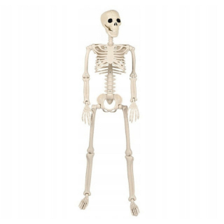SKELETOR ĽUDSKEJ KOSTRA LEBKA HALLOWEENSKÁ DEKORÁCIA 93CM
